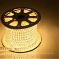 outdoor 220V 110V Waterproof led strip rope SMD 5050 LED Flexible Strip Light